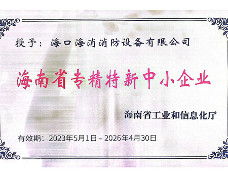 海南省專精特新中小企業