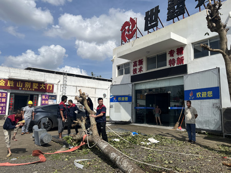 臺風”摩羯“災后重建工作